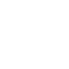 1928 NAISSANCE D'UNE LÉGENDE