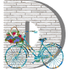 bicycle e 100 d