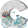 bicycle e 100 c