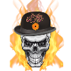 biker, skull, fire
