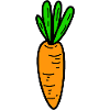Carrot carrot vegetables