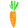 Carrot carrot vegetables