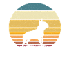 Boston Terrier