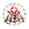 Herens cow eringer