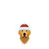 GOLDEN RETRIEVER MOM