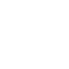 Drohne Evolution