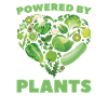 Veggie Vegetables Vegetarian Vegetarian