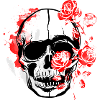 Roses and Skull