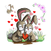 Lapins aime les lapins