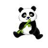 Divertente Panda Amante Ragazza Donna Citazione Dicendo Frase