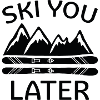Ski You Later
