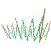 Hop field