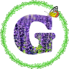lavender g