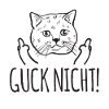 Lustige Katze Katzen