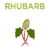 Rhubarb Addict Fun Pun