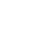 Shiba Inu Papa