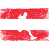 Österreich Fußball Fan von Österreich Mannschaft