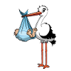Storken og drengen
