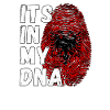 Funny Albania Sayings Shqip Albanian Pride