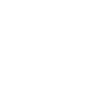 chinchilla