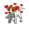 Jack Russell Russel