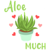 Aloe Vera Succkulente