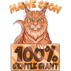 Maine Coon Mainecoon Wildcat Longhair