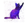 Universe cat stars kittens
