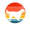 Irish Setter
