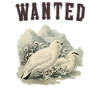 OBV - Wanted Ptarmigan