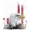 Independence Eagle American Flag Eagle