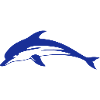 Delphin Delfin Dolphin