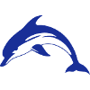 jumping dolphin 2 dolphin