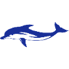 Dolphin Dolphin Dolphin 3