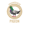 chuchoteur de pigeon