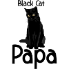 Black cat Papa