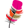 plume perroquet