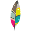perroquet plume