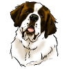 Bernhardiner Hundekopf (dunkle Textilien)