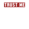 Trust Me I'm Wirtschaftsinformatiker