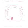 Bullterrier Hundebesitzer Gassi Frauchen Geschenk