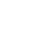 evolution skater Skateboard