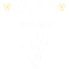 MTRA Medical-Technical Radiology Mta