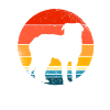 Saint Bernard