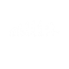 Evolution hockey