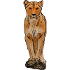 Lion motif lion lion chat
