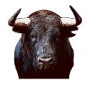 Bull animal face animal