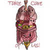 Anatomie Organe