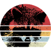 Raccoon Retro