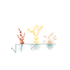 Garten Mathematiker Hobby Gärtner Wurzelziehen